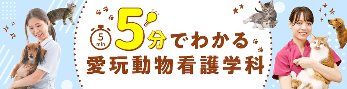 5分でわかる愛玩動物看護学科